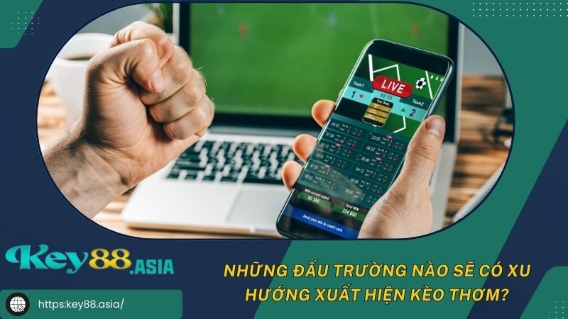 Những đấu trường nào sẽ có xu hướng xuất hiện kèo thơm? Những đấu trường nào sẽ có xu hướng xuất hiện kèo thơm?